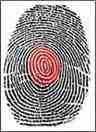 dmit fingerprint